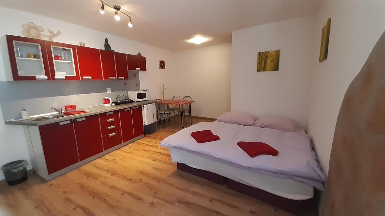 Privat Bene Apartment Vysne Ruzbachy Bilik gambar